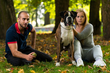 Similar image 5635072