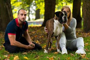 Similar image 5635073