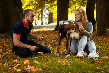 Similar image 5635074