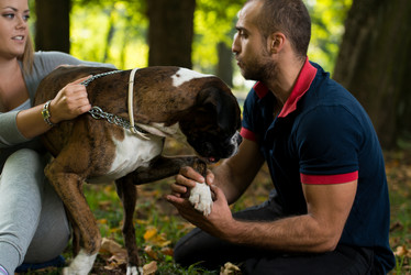 Similar image 5635075