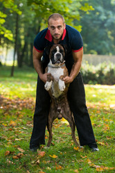 Similar image 5635080