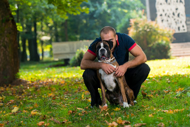 Similar image 5635082