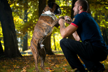 Similar image 5635089