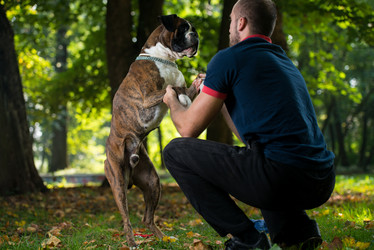 Similar image 5635096