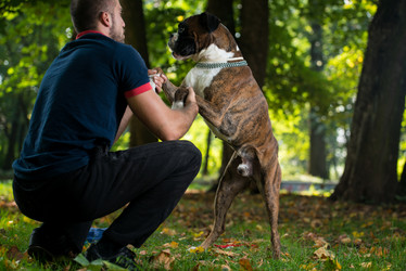 Similar image 5635097