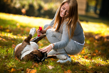 Similar image 5635125