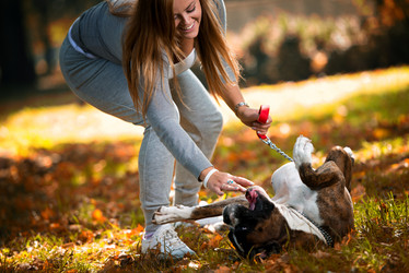 Similar image 5635126