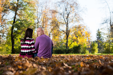 Similar image 5635287