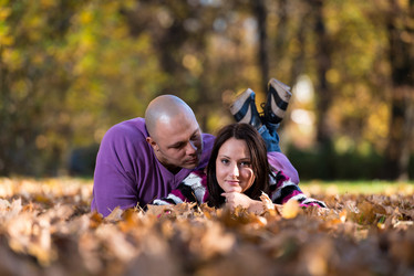 Similar image 5635341