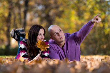 Similar image 5635351