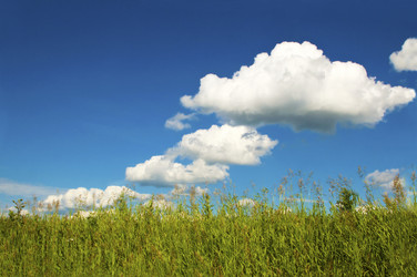 Similar image 5635574