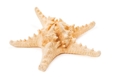 Similar image 5635576