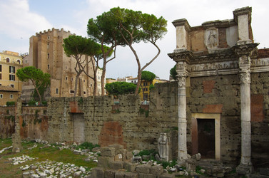 Similar image 5635665