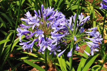 Similar image 5635719