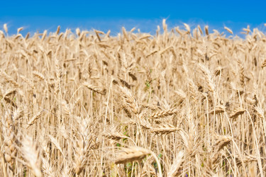 Similar image 5635769