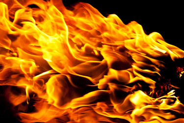 Similar image 5635796