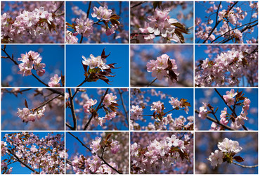 Similar image 5635797