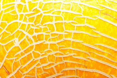 Similar image 5635801