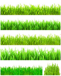 Similar image 5635812