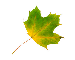 Similar image 5635839