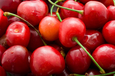 Similar image 5635847