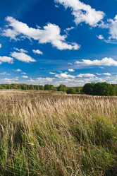 Similar image 5635851