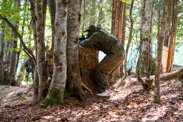 Similar image 5636108