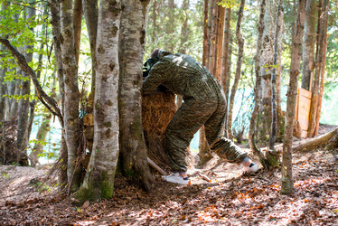 Similar image 5636116