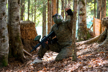 Similar image 5636124