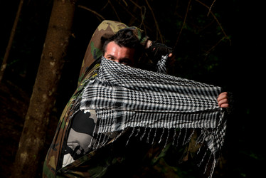 Similar image 5636161