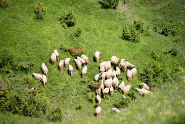 Similar image 5636192