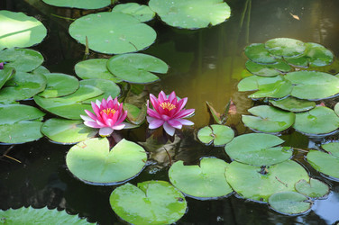 Similar image 5636225