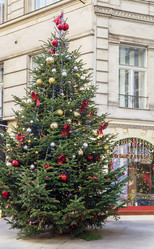 Similar image 5636810