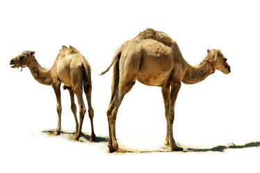 Similar image 5636836