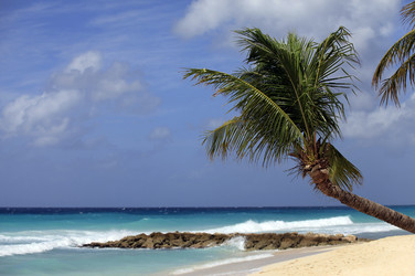 Similar image 5636856