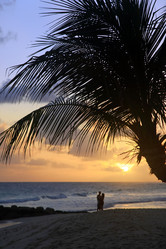 Similar image 5636857