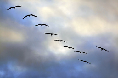 Similar image 5636861