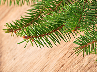 Similar image 5636945