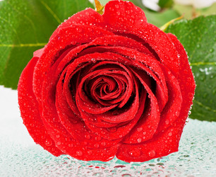 Similar image 5636948