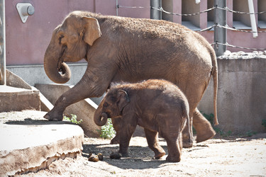 Similar image 5637031