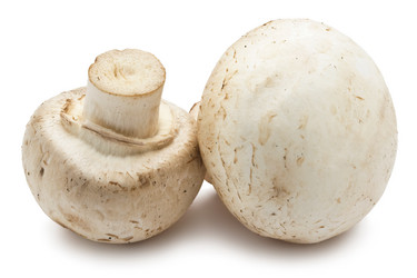 Similar image 5637043