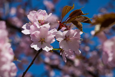 Similar image 5637094