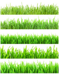 Similar image 5637127