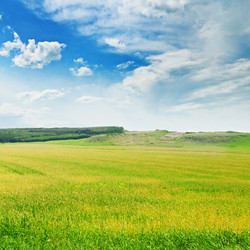 Similar image 5637230