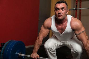 Similar image 5637627