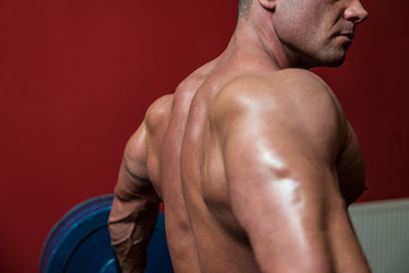 Similar image 5637648