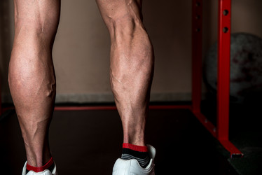 Similar image 5637656