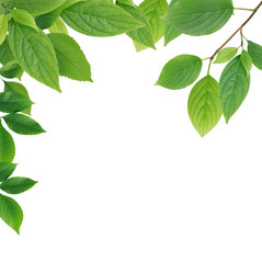 Similar image 5638196