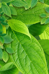 Similar image 5638197