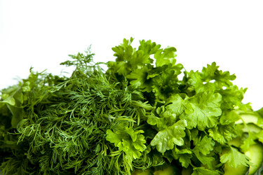 Similar image 5638246